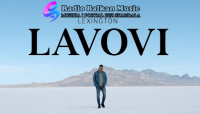 Lexington - Lavovi